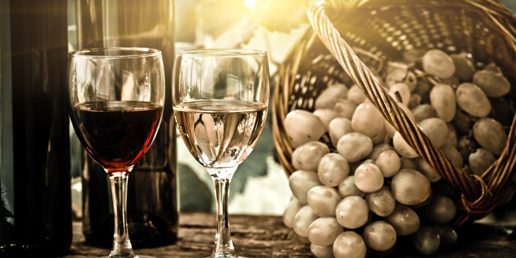 Degustace vín v zámecké vinárně